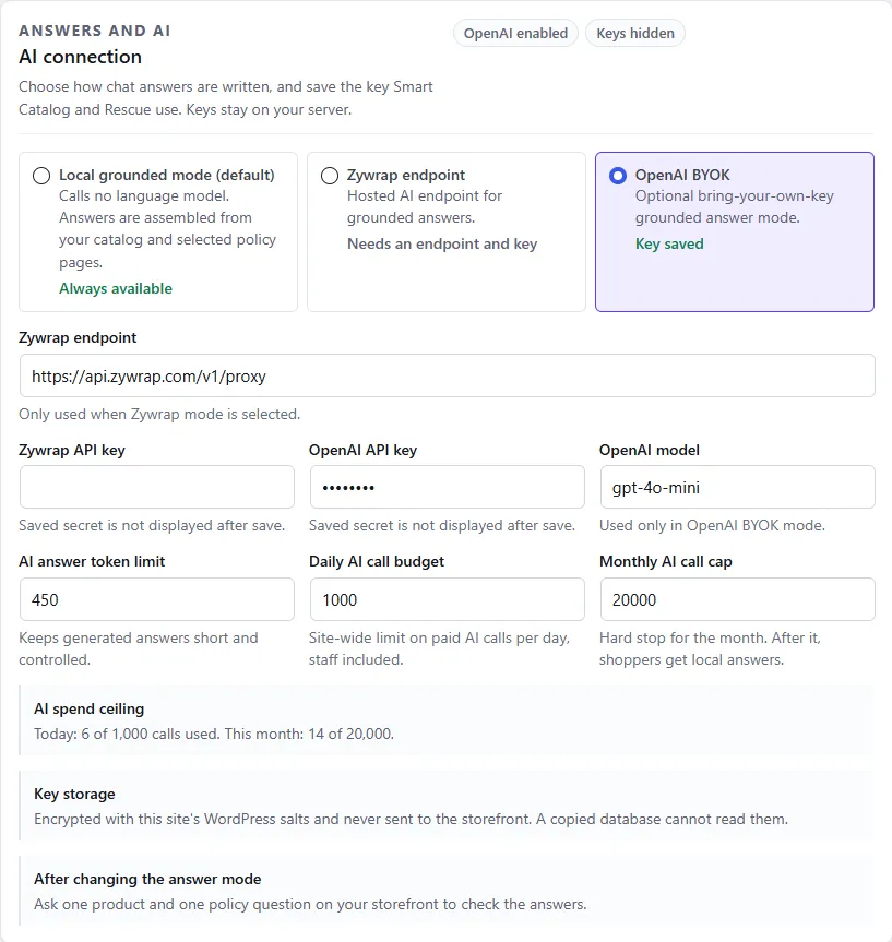 The AI connection card on AI & Privacy, with the three answer modes and the key and limit fields
